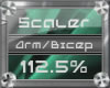 (3) Arm/Bicep (112.5%)