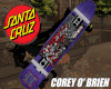 SantaCruzCoryOBrienmodel