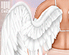 ANGEL. Wings A.