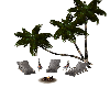 Grey island Palm Tree