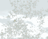Cloud Of Flying Flowers