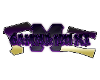 Guest GMX Probate Chairs Guest GMX Probate Chairs
