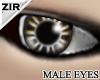 {Zir}Smart line eyes5