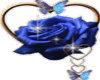 A Blue Heart Rose