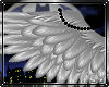 [BOB] Cupid Wing 2T