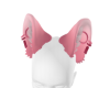 Kensi Ears v1