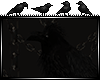 [M] Skull Crow