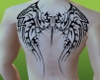 SG Tribal Wings Tattoo M