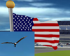 xlx Eagle and Flag
