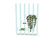 BEACH DIVIDER