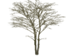 Tree addon