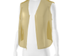 PVC Vest