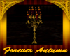 Forever Autumn Candles
