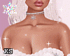 Snowflake Bundle