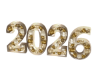 Happy New Year 2026 #2