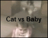 Cat Vs Baby Video Clip