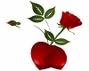Valentine Hearts & Rose