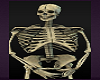 Skeleton with Soune