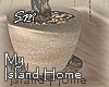 [SM]My Island_Plant Palm