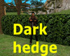 !ASW Dark Hedge