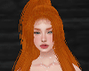 •Ginger Long Hair