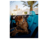 LEOPARD CUTOUT