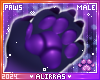 🌸; Blueberry Paws