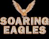 Soaring Eagles