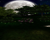 ROMANTIC TIME