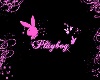 Pink&BlackPlayboy poster