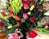 Pretty Flowers