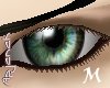 [apj] eye Magic Forest M