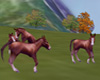 [YEY] Newborn Horses