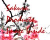 Sakura Dojo