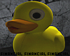 Rubber Ducky