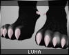 *L Donna's Hind Paws