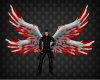 Angel Wings Red/White