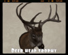 *Deer Head Trophy