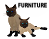 Siamese Cats *Furniture