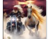 wild horse\biker flag