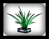 90er Palm Plant