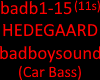 HEDEGAARD - badboysound