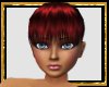 [D] Red Rebel Bangs