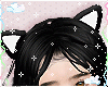 Black Cat Ears