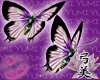 2 Sakura Butterflies for