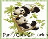 Panda Cubs Kissing Sofa