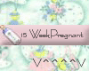 15 Weeks Pregnant (P)