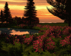 Romantic Sunset Lake