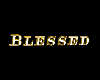 !T! "BLESSED" 3D Flash