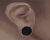 Small Ear Black Plugs